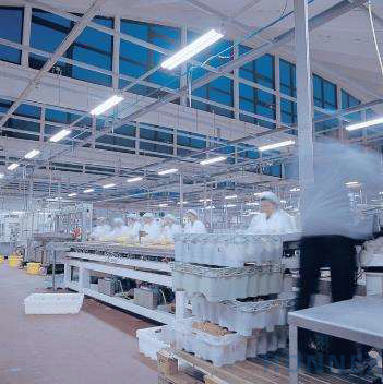PHILIPS MASTER UltraEfficient T5 LED tubes lighting a food processing production line with workers in hygienic clothing