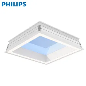 PHILIPS NatureConnect Skylight LP913P with Scene Set Control - 副本